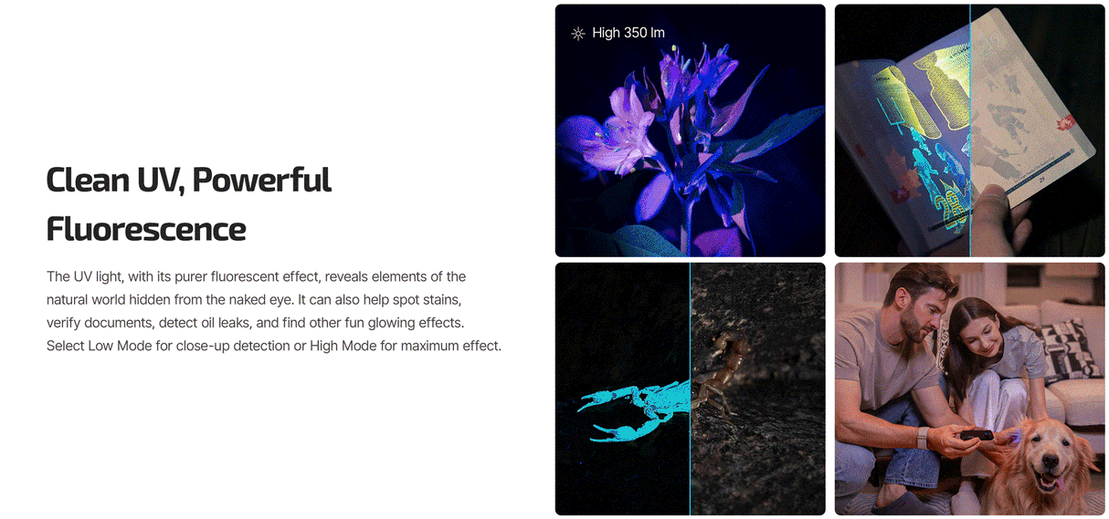 Olight ArkPro Ultra 1700 Lumen Rechargeable EDC Flashlight with UV Light & Green Laser