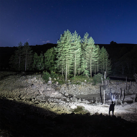 Super Bright Flashlights